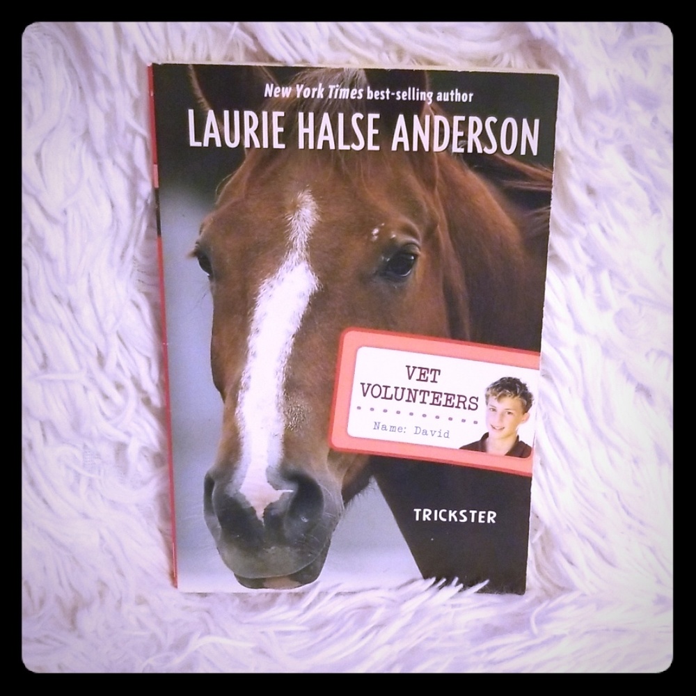 |Vet Volunteers Book|